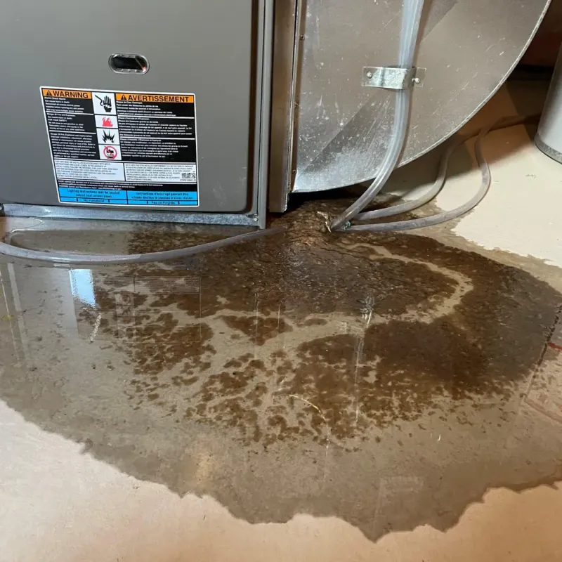 Appliance Leak Cleanup in Hanapepe Heights, HI