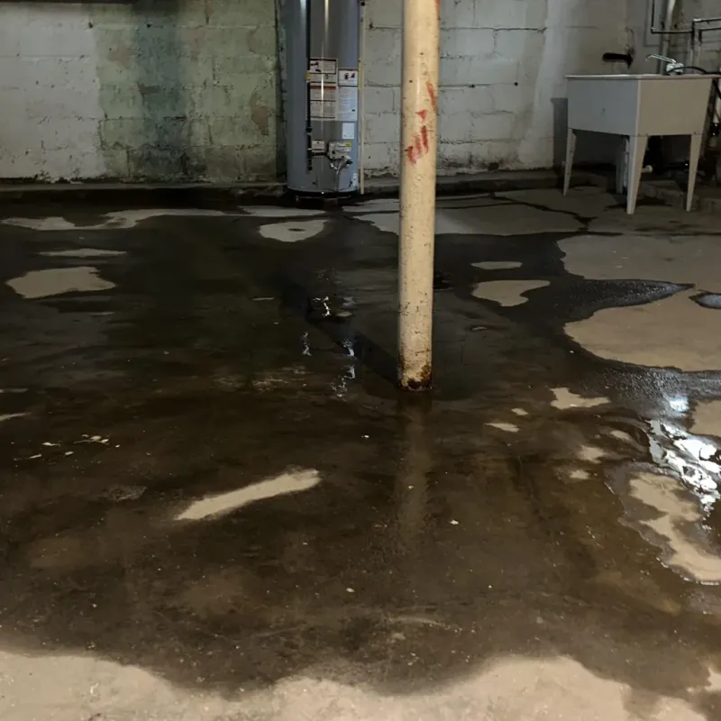 Emergency Water Extraction And Removal in Hanapepe Heights, HI